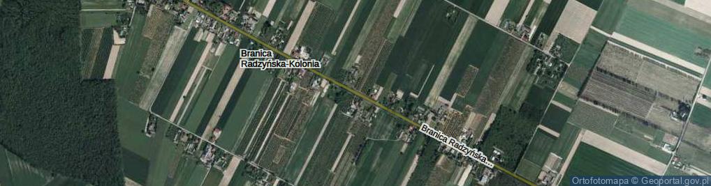 Zdjęcie satelitarne Branica Radzyńska-Kolonia ul.